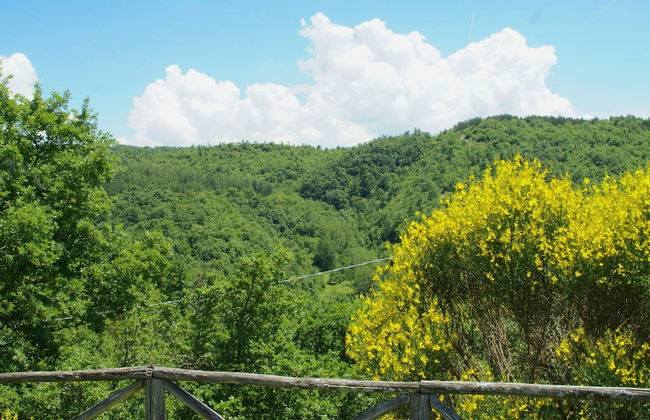 Beautiful Apartment With Panoramic Swimming Pool - Foto 41