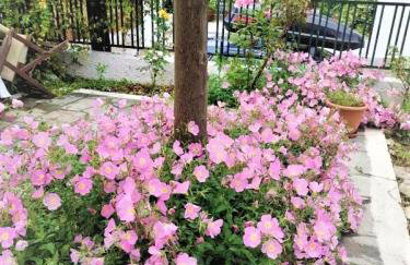 Maria's traditional house - Photo 16