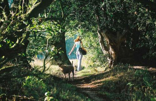 Farm Cottage a cute C17th cottage a walk across the fields to a great pub - Foto 48
