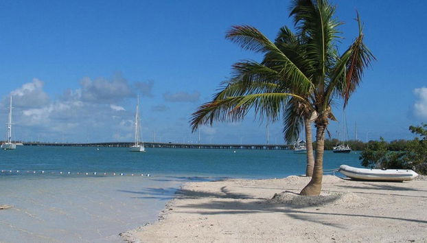 Old Town Trolley - Foto 5