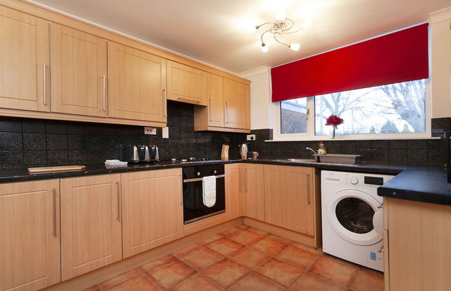 Mega Shelley - Foto 10