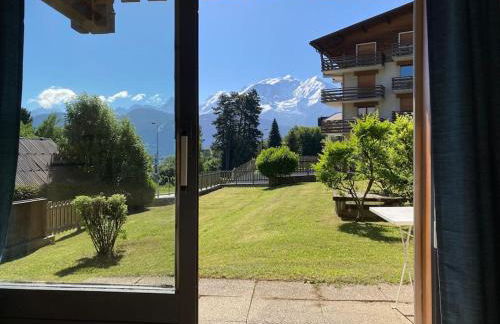 La marmotte: Vue Mont Blanc, terrasse, parking - Foto 20