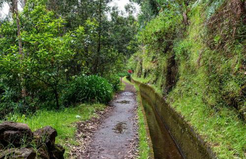 Chalet do Monte Porto Moniz by Madeira Sun Travel - Foto 50