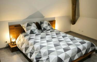 Appartement 6-8 personnes, gîte, climatisé, classé 3 étoiles, proche du zoo de Beauval et des châteaux de la Loire - Foto 32