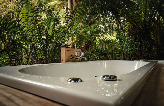 Franz Josef Treetops - Foto 21