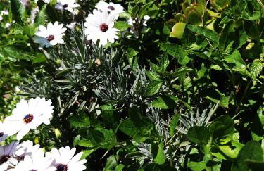 Nikitas Apartment - Foto 12