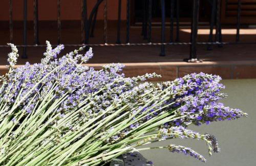 Deluxe Apartment Nono- Anex building - Foto 14