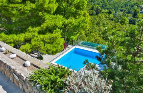 Villa Degenija - Principality of Zarijak - Foto 4