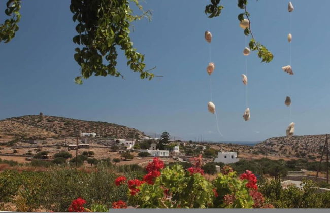 Harama Hotel Schinousa - Foto 28