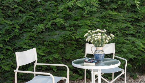 An Amazing Earthly House in Sofades - Foto 3, Garden