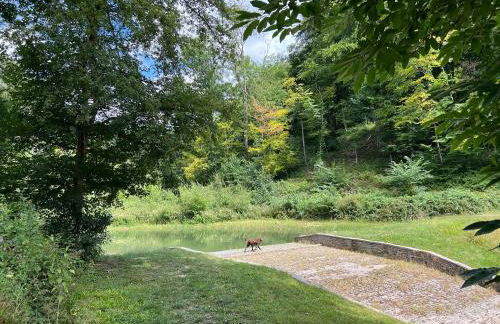 Croft Lodge Studio - Foto 31