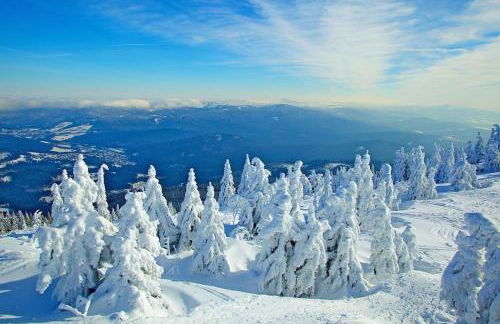 Ferienhaus Nr 20, Typ B, Feriendorf Jägerpark, Bayerischer Wald - Foto 30