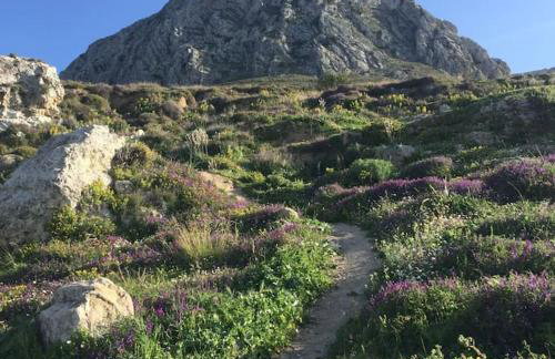 Aνεξάρτητη παραδοσιακή πέτρινη κατοικία - Foto 19