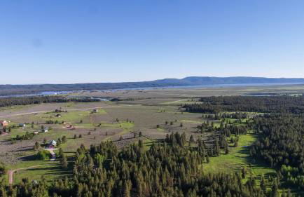 Lumberjack Lodge by KABINO Hot Tub Fire Pit Satellite WiFi Grill Large Porch - Foto 46