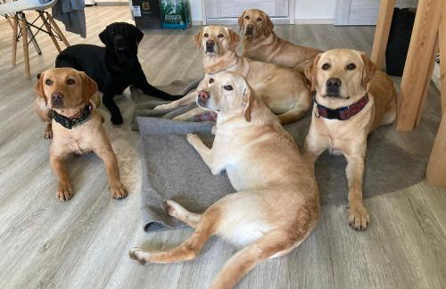 Domek nad stawem - Foto 37