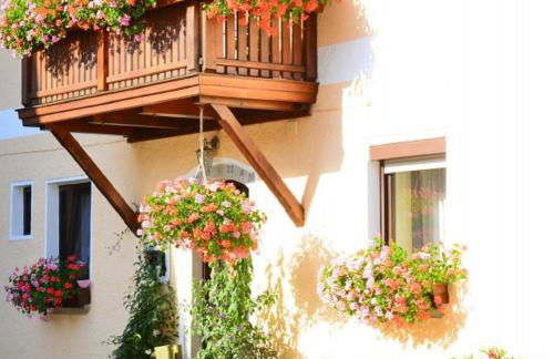 Bauernhof König - Foto 16