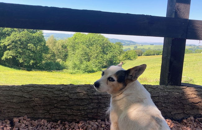 Outstandingly Situated Cosy Shepherds Hut - Photo 24