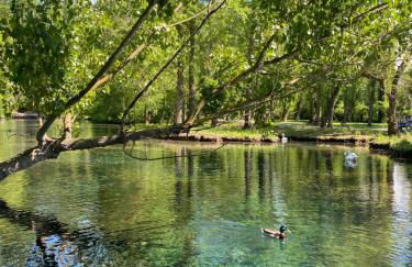 Agriturismo Pettino - Foto 45