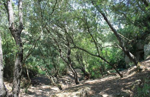 Villa Filipinas ,CITY CENTER -ETV10310 - Photo 40