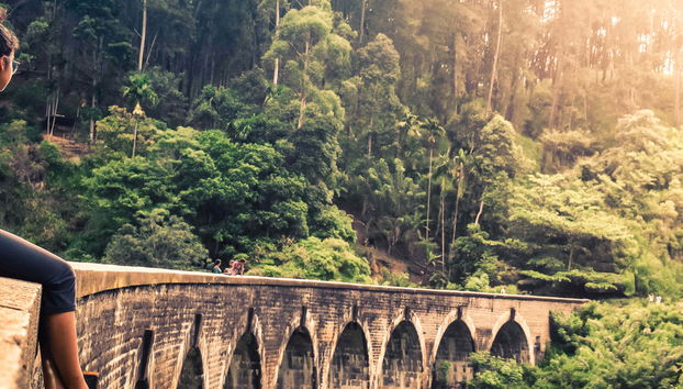 Ella Private Tour - Foto 4