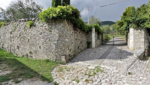 Il Gallo d' Oro - Scoiattolo - Foto 5