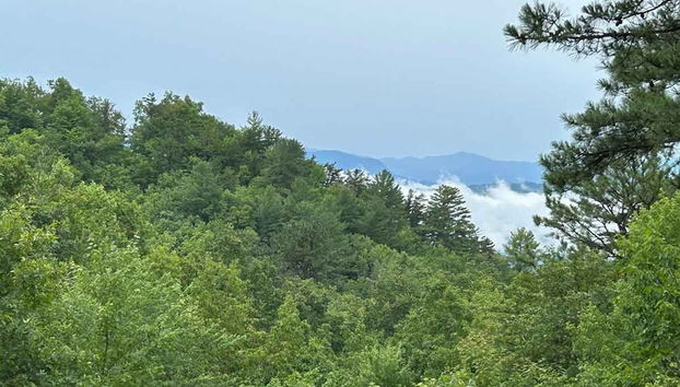 Newly Renovated 5 Star Condo Pool Gorgeous View - Foto 2, Habitación
