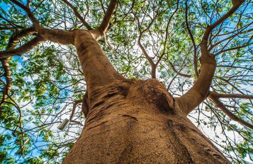 Casa El Cerco - Foto 25