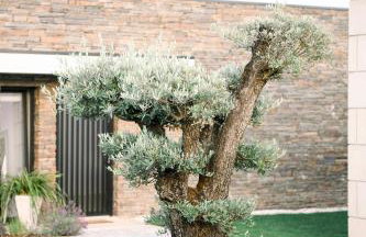 3 Encostas - Foto 31