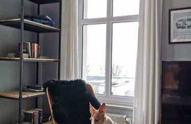 Homelig Altstadt Ferienwohnungen Sassnitz - Foto 11