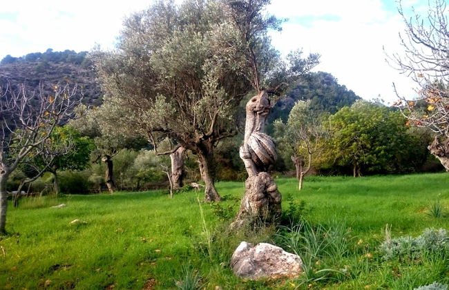 Ca Na Carme Alaronera - Foto 6