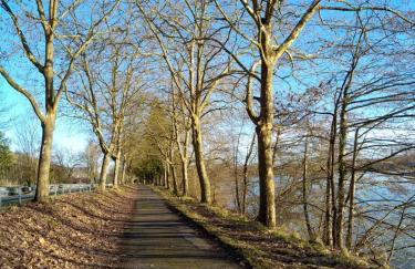 Le petit jazz du lac - Photo 17