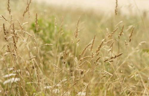 Casa da Praia em Valadares - Foto 30