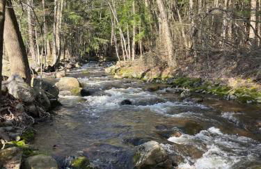 Twin Pines Lake resort 2 - Foto 13