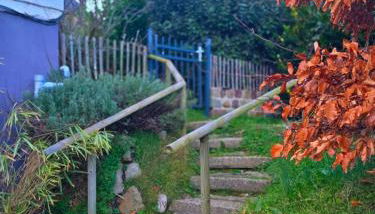 Camembert & Crustacés - Foto 2