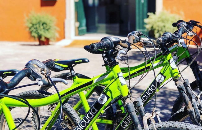 Quinta da Bicuda - Photo 49