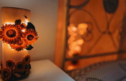 Sunflower Place - dimora del girasole - Foto 2