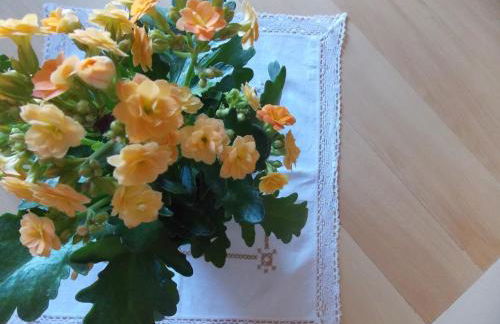 La Casetta in Piazza - Foto 10