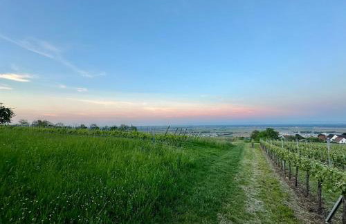L'écrin d'Anne et Stéphane - vue sur Strasbourg - Foto 68