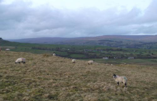 Mews Cottage - Photo 19