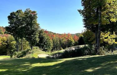 Top Floor Luxury, Sauna, Private Pool, Lake Bellaire Beach, 5 beds, 4 full bath - Foto 41