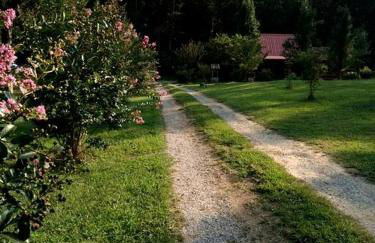 Tranquil Cabin with Hot Tub & Creek Views Near Bass Pro, Kodak Tennessee - Foto 31