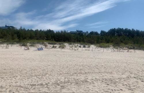 SHELLTER Apartament Blue Dune-Rogowo - Foto 34