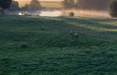 Haus Am Damm - Foto 23
