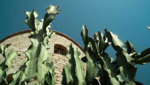 Villa Ocean - Sunset Beach - Foto 4