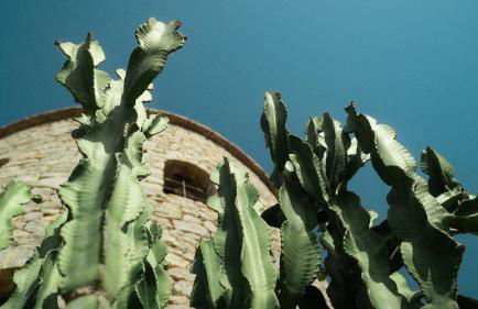 Villa Ocean - Sunset Beach - Foto 4