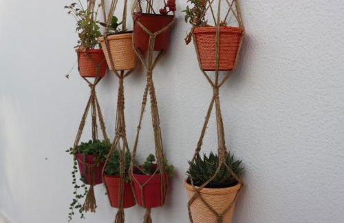 Quinta do Carvalheiro - Photo 10