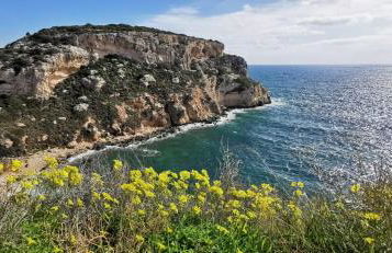 Flamingo's way Cagliari - Foto 28