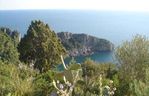 Vacanze Cilento - Foto 22