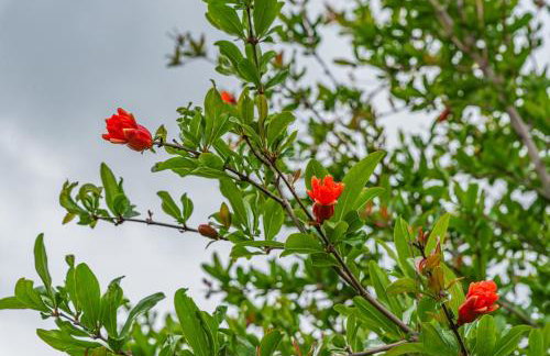 KrinesGReece - Foto 38