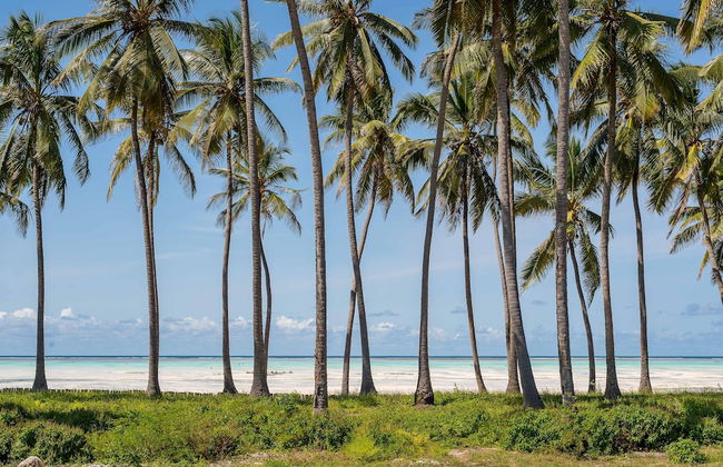 TASNEEM LUXURY APPARTMENT - Photo 52